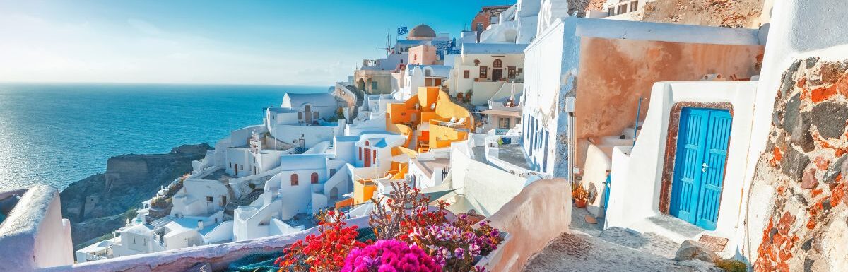 Picturesq view of traditional Cycladic Santorini houses on small street with flowers in foreground in Santorini, Greece.